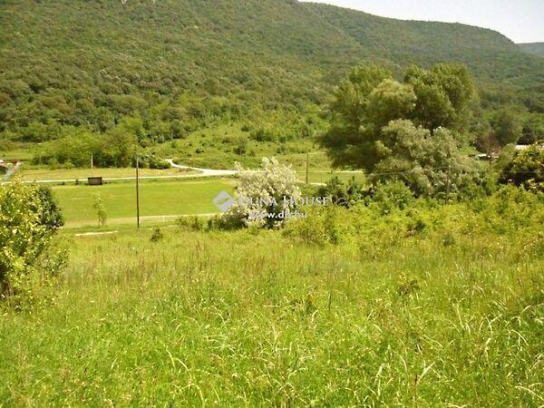 Kökény, Kesztölc képe