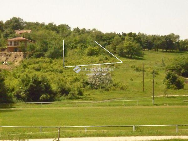 Kökény, Kesztölc 2. képe