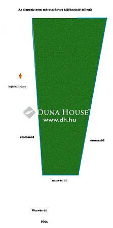 Kökény, Kesztölc 3. képe