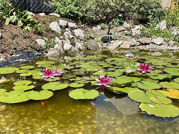 Szombathely 2. képe