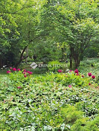 Sánc, Budapest, I. kerület 2. képe