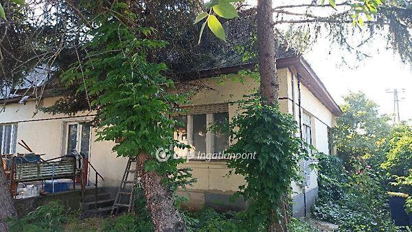 Petőfi Sándor, Jászfényszaru képe