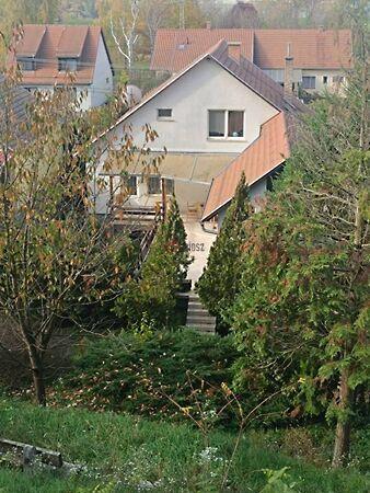 Harangvirág, Visegrád 2. képe