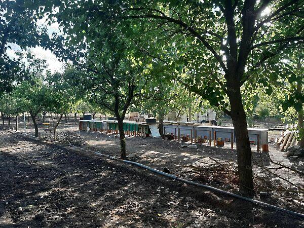 Jászdózsa 3. képe