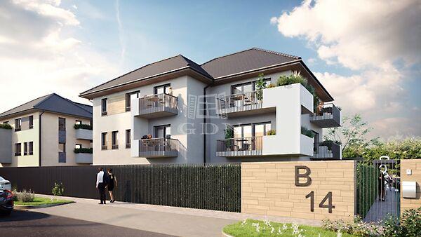 Barack, Budapest, XV. kerület képe