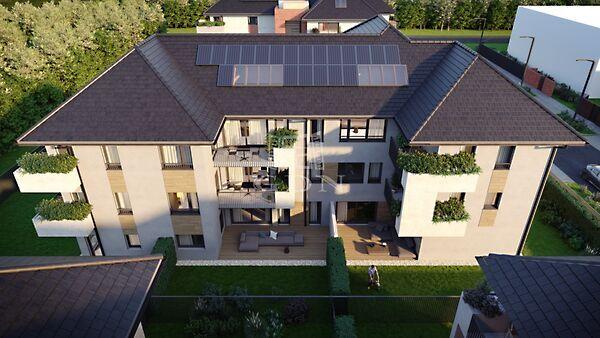 Barack, Budapest, XV. kerület 3. képe