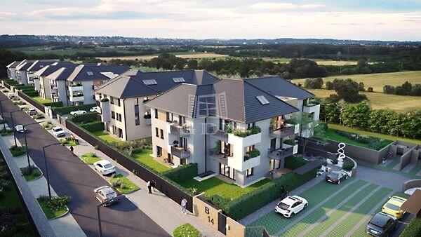 Barack, Budapest, XV. kerület 3. képe