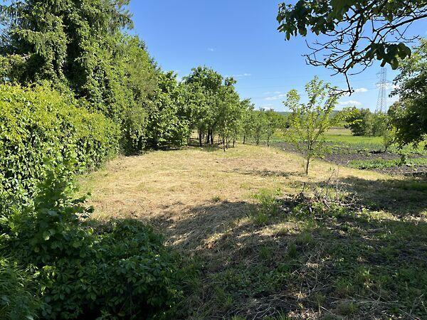 Állomás utca, Sajóivánka képe