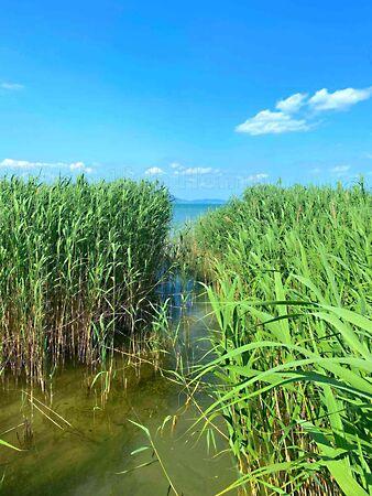 Balatonmáriafürdő képe