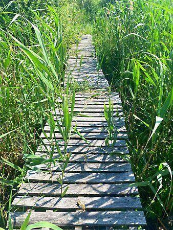 Balatonmáriafürdő 2. képe