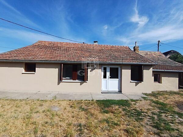 Csendes kis, Baja képe