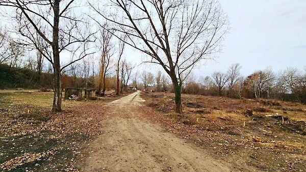 Martonvásár 2. képe