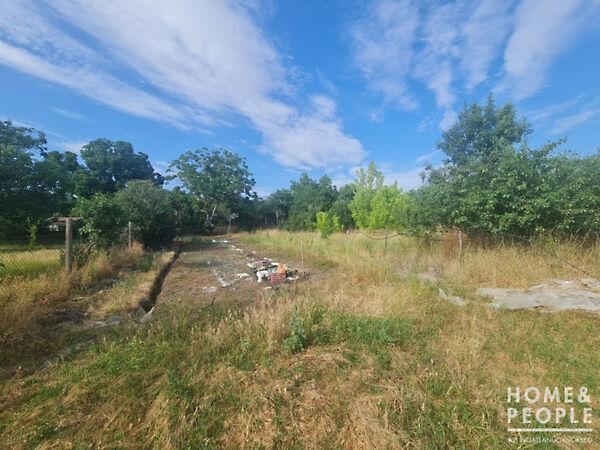 Hódmezővásárhely képe