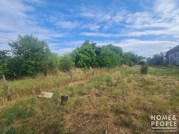 Hódmezővásárhely 2. képe