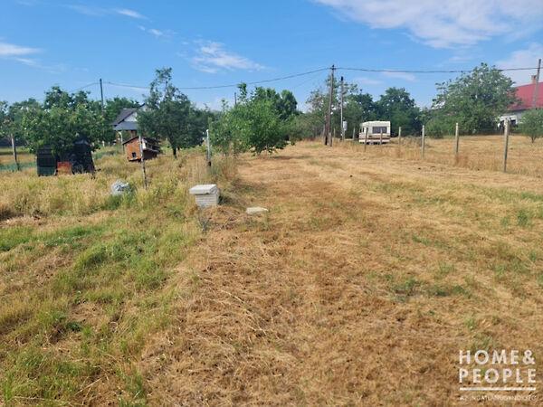 Hódmezővásárhely 3. képe