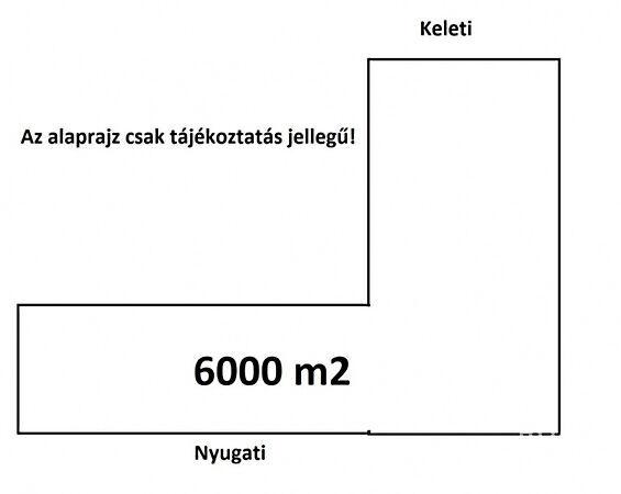 Szatymaz 3. képe