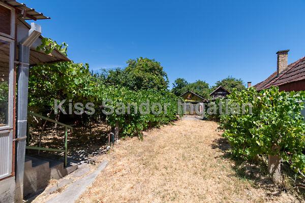 Berettyóújfalu 3. képe