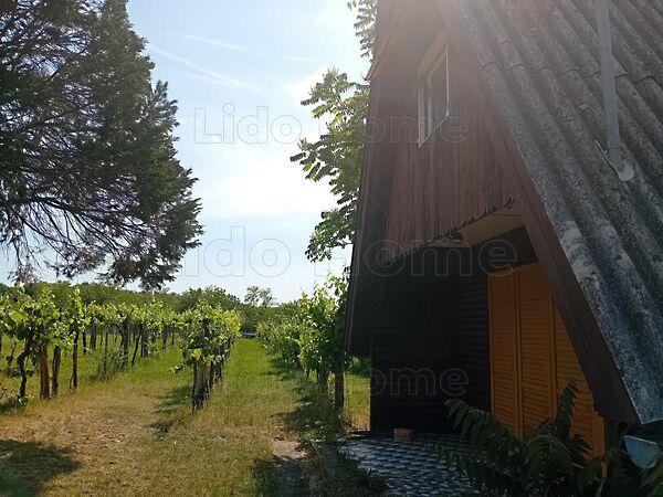 Balatonőszöd 3. képe