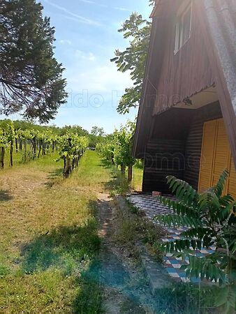 Balatonőszöd 2. képe