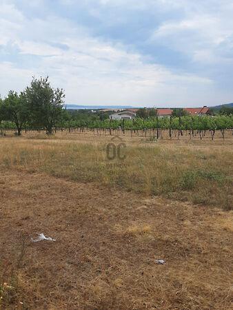 Balatonfüred 3. képe