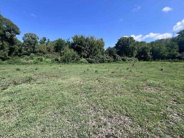 Szőlősgyörök képe