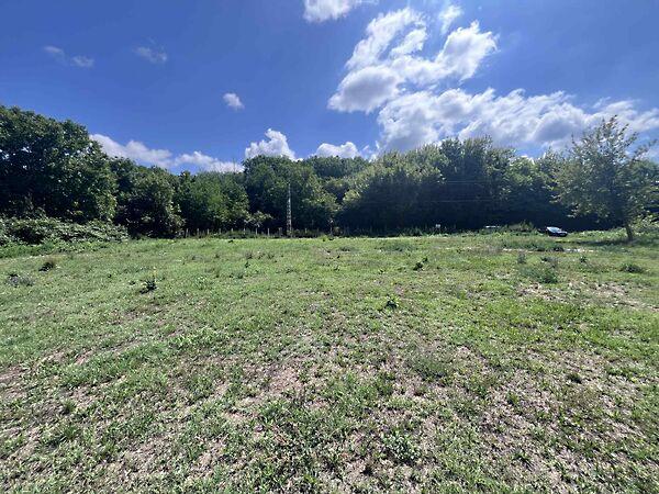 Szőlősgyörök képe