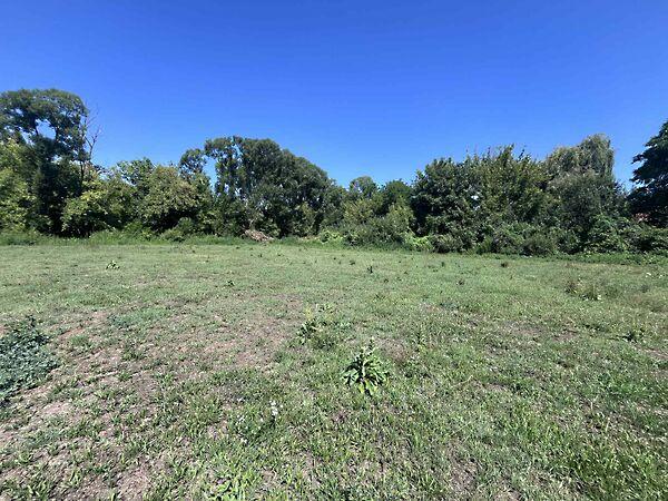 Szőlősgyörök képe