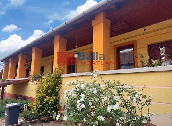 Belváros, Hatvan képe