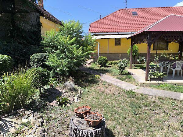 Tiszaföldvár képe