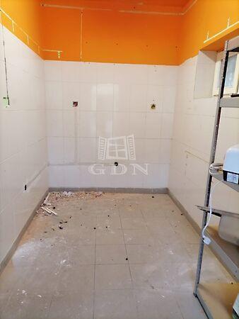 Rákóczi, Gyönk 2. képe