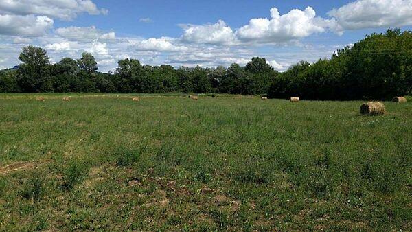 Balatonederics képe