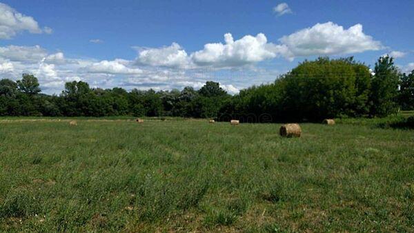 Balatonederics 2. képe