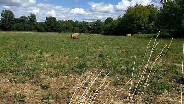 Balatonederics 3. képe