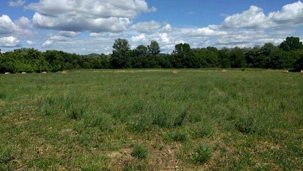 Balatonederics képe