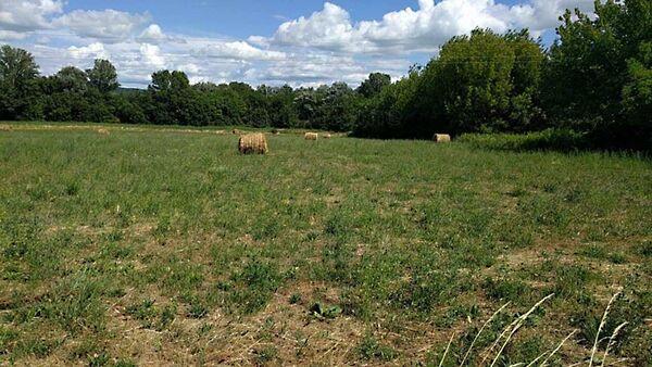 Balatonederics 2. képe