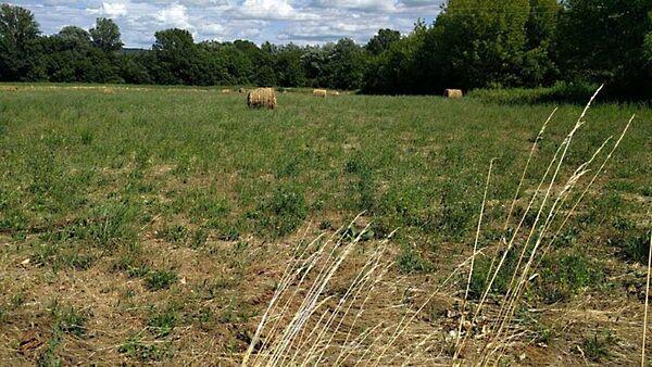 Balatonederics 3. képe