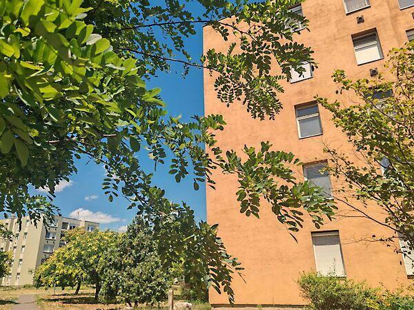 Nyuszi, Budapest, XXI. kerület képe