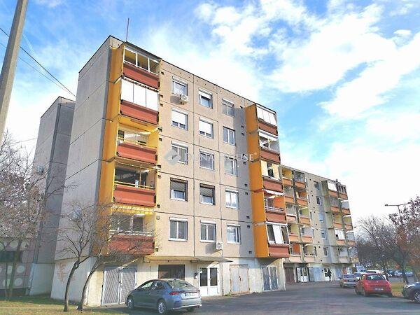 Schmidt Sándor, Dorog képe