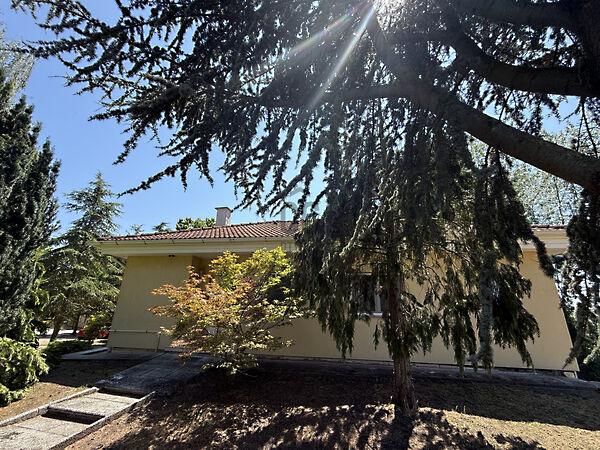 Rábapatona 2. képe