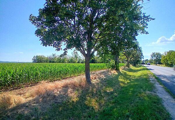 Balatonszárszó 2. képe