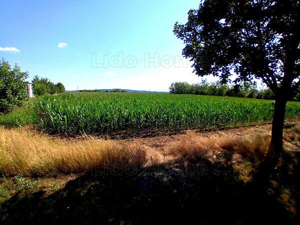 Balatonszárszó 3. képe