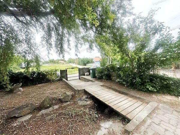 Szőlők, Dömsöd 2. képe