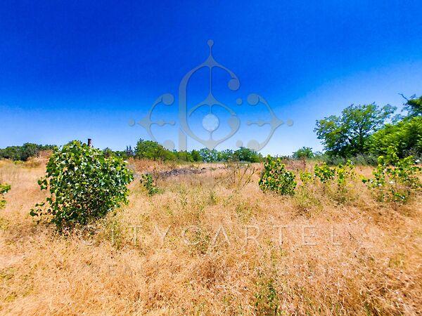 Dunaegyháza 2. képe