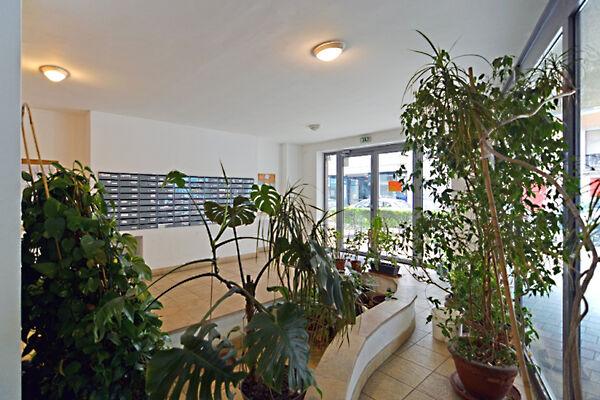 Mester, Budapest, IX. kerület 2. képe