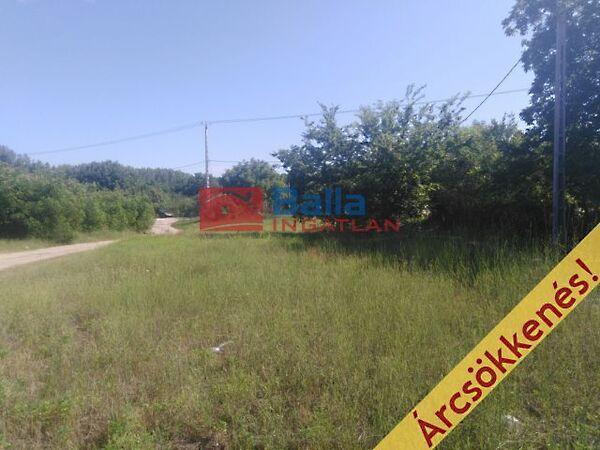 ÁRNYAS, Dunaharaszti képe