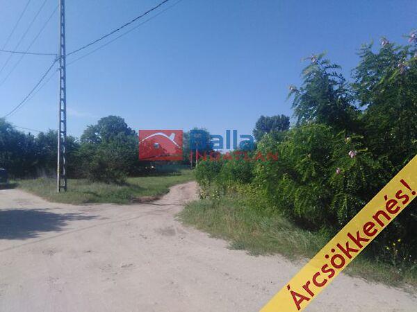 ÁRNYAS, Dunaharaszti 3. képe