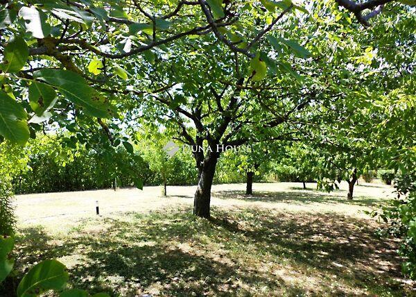 Lovasberény 3. képe