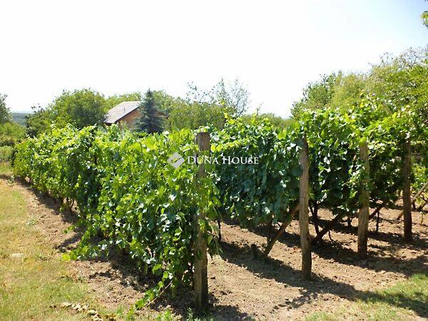 Lovasberény 3. képe