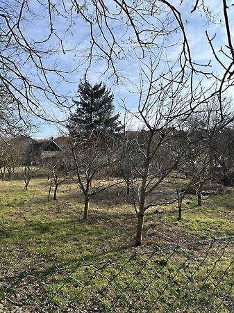 Ady, Szentgyörgyvár 3. képe