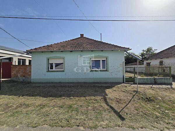 Széchenyi István, Borota képe